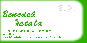 benedek hatala business card